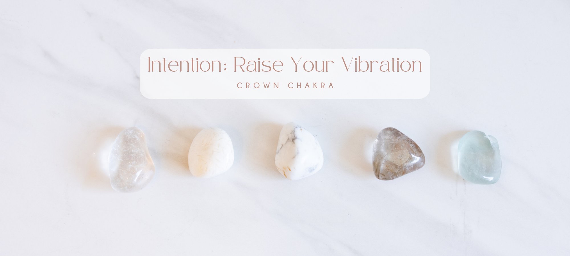 CROWN CHAKRA / Intention: Raise Your Vibration