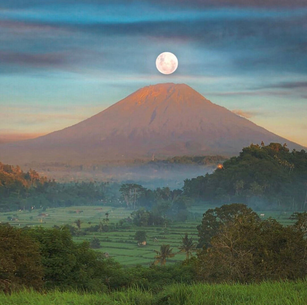 Libra Full Moon 2021