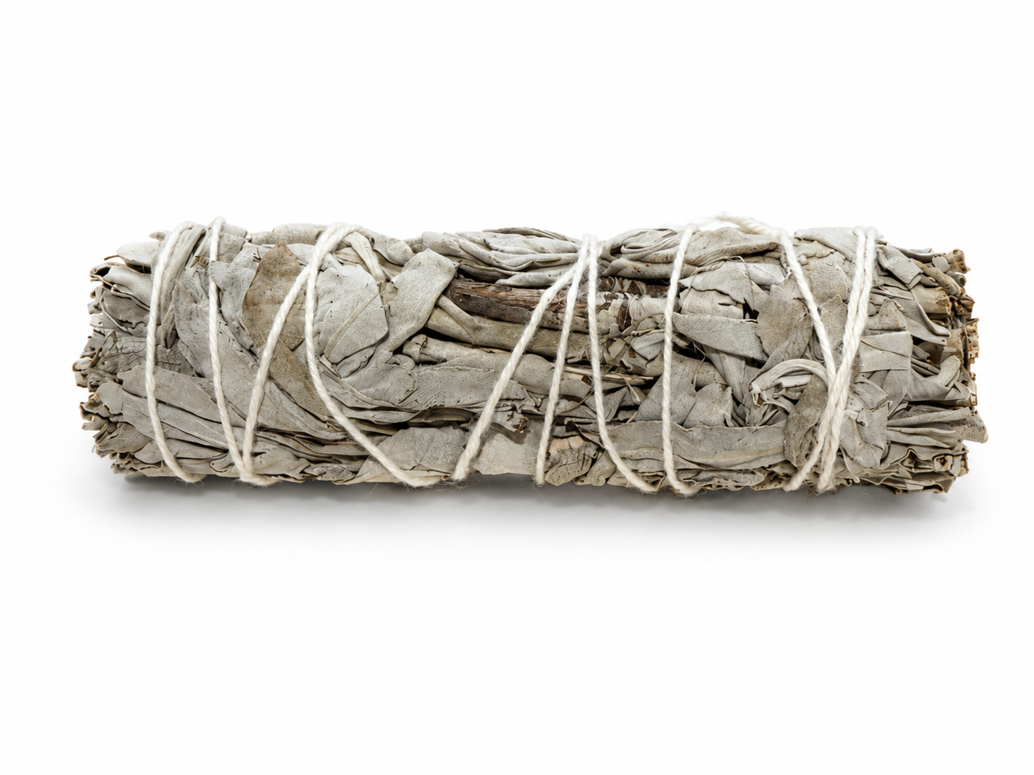 Medium Sage Bundle